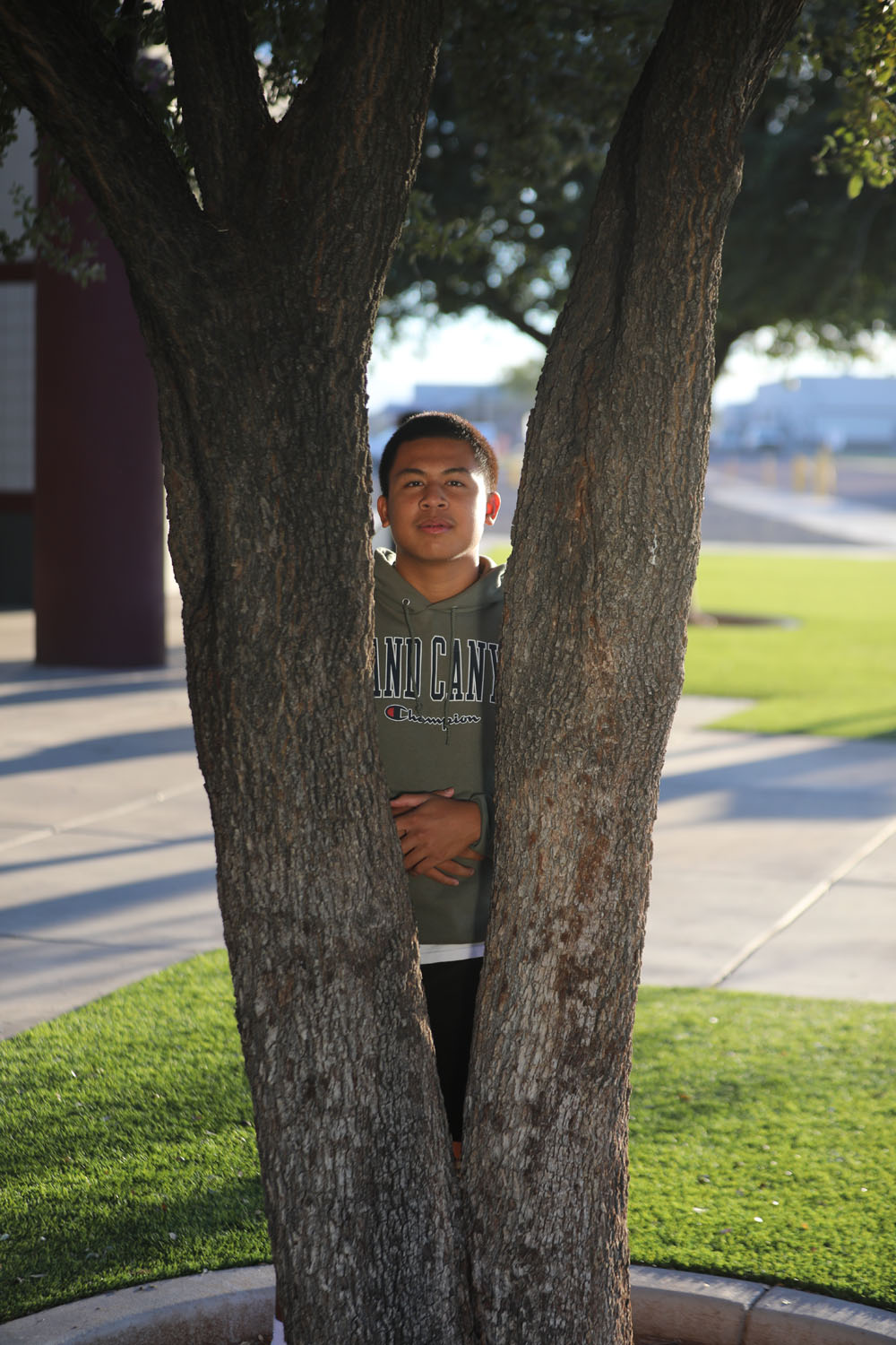 Alex between two tree trunks