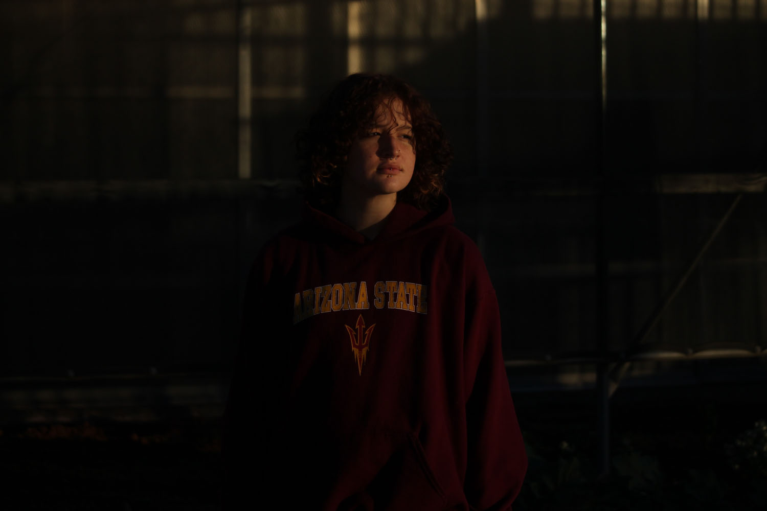 Octatian in the sunlight