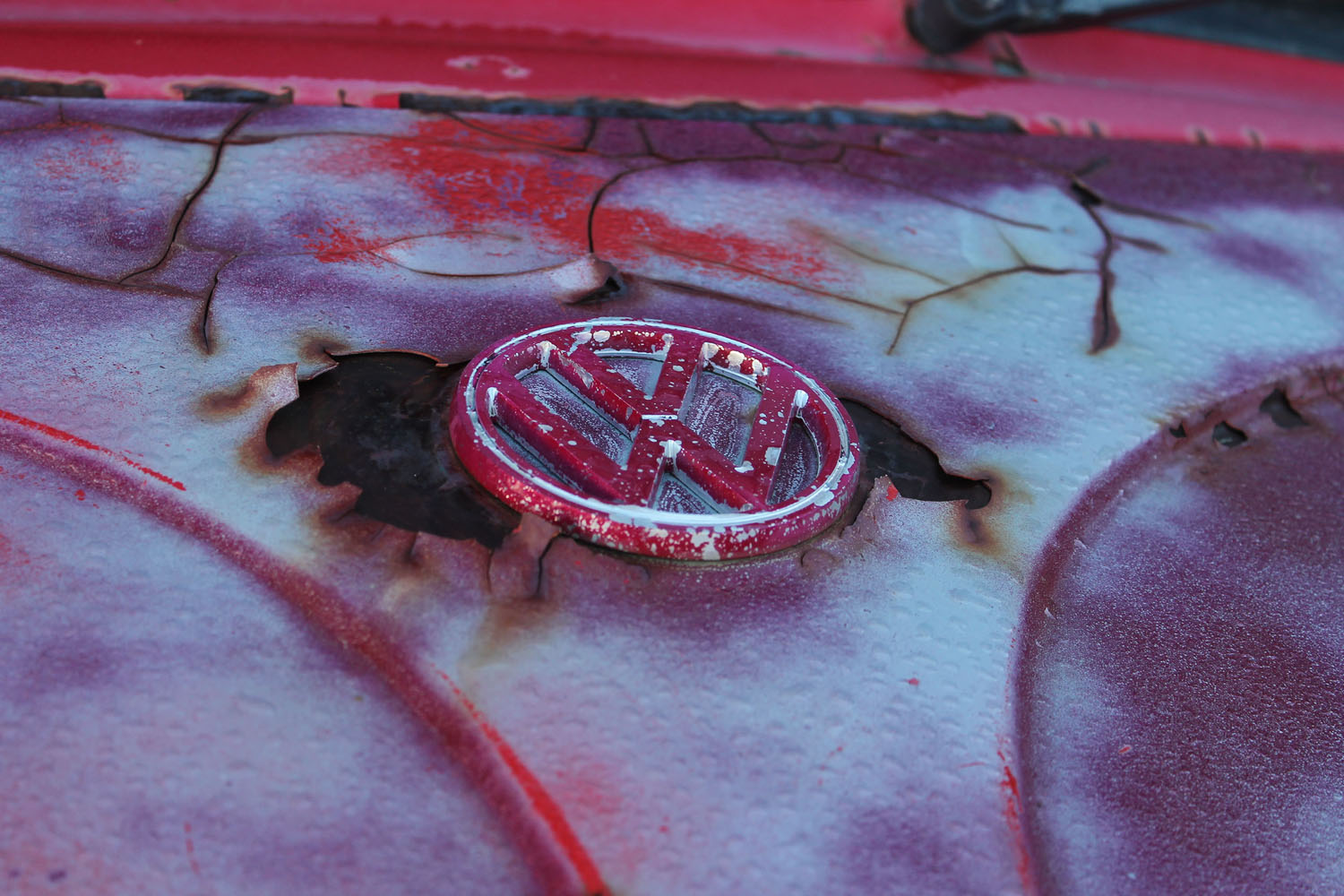 Volkswagon logo worn on a car Volkswagon logo worn on a car