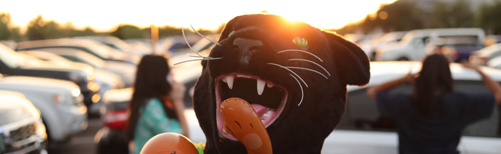 DRHS Jagaur Mascot