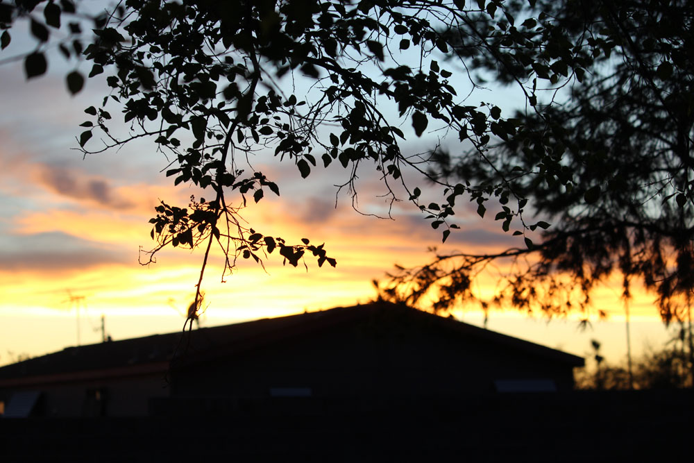 Sunrise Sunrise!