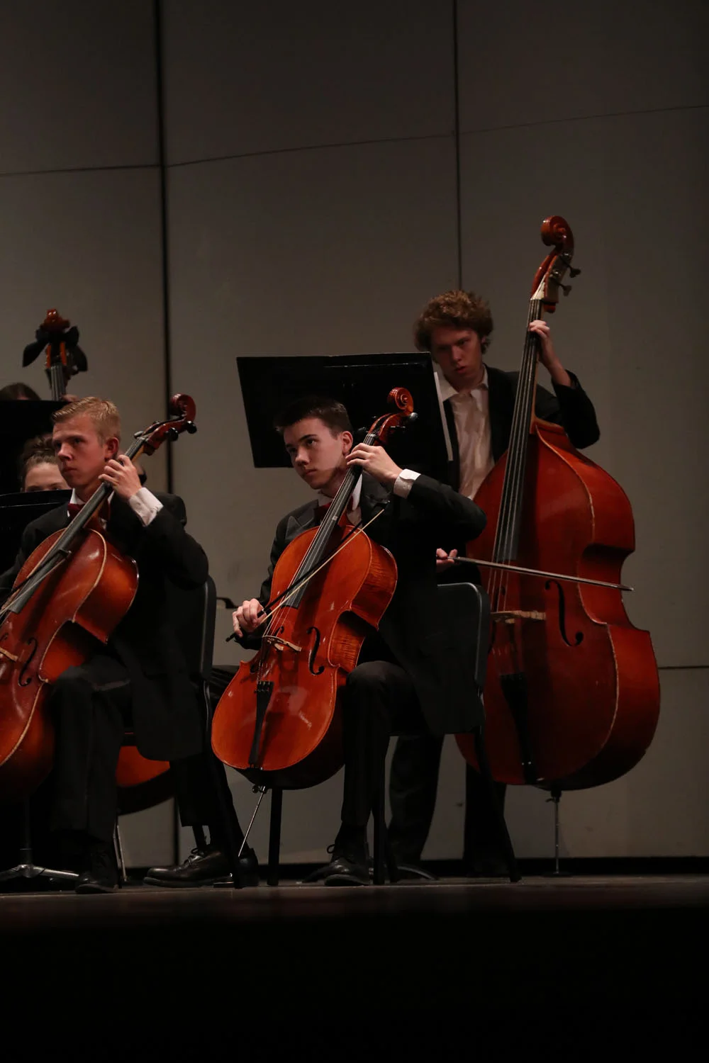 Strings section playing