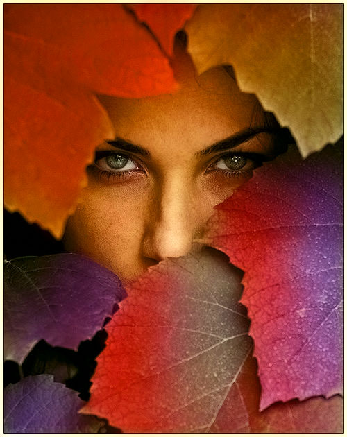 Colorize Photo!