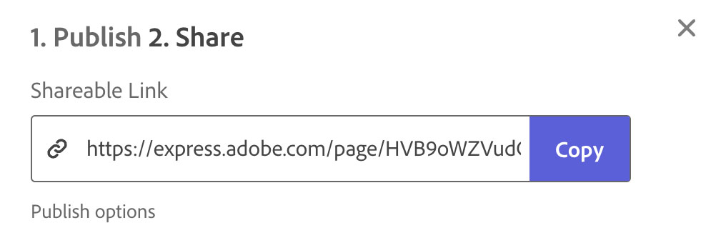 Publish and Share Window Publish and Share Window