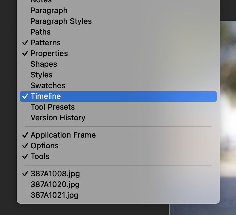 Timeline Panel
