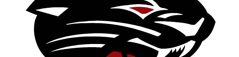 Desert Ridge Jaguar Logo