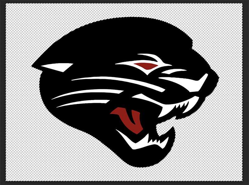 Jaguar with cleared selection