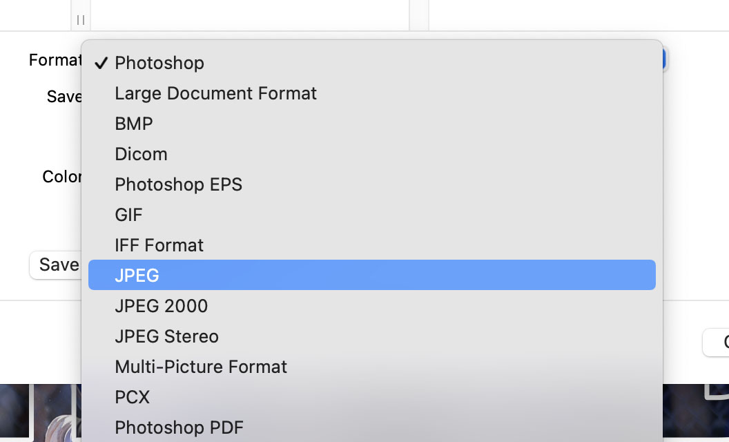 JPEG File Format JPEG File Format