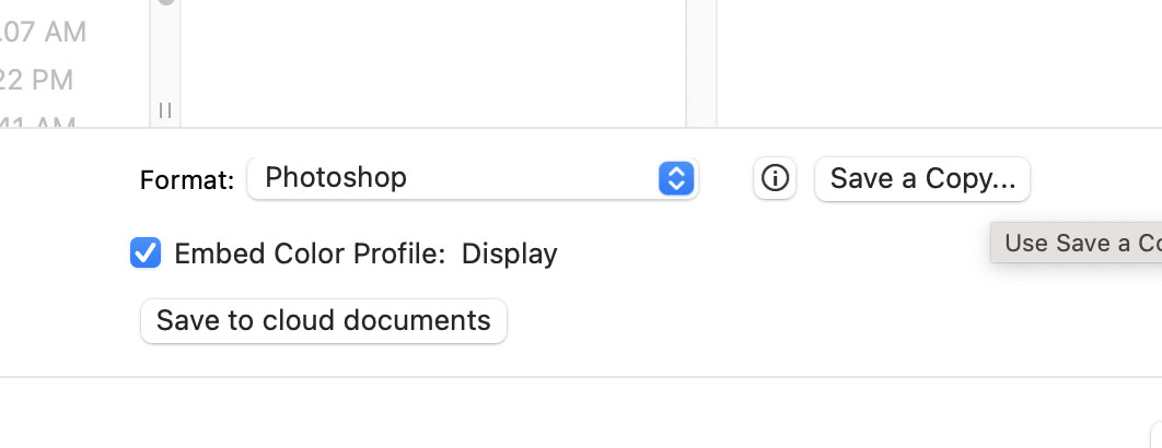 Save As Menu- Save a Copy button Save As Menu- Save a Copy button