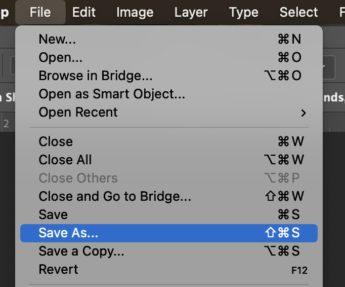 File-Save As File-Save As