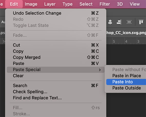 Edit-Paste Special-Paste Into Edit-Paste Special-Paste Into